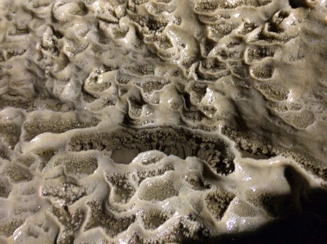 Clifden Caves景点图片