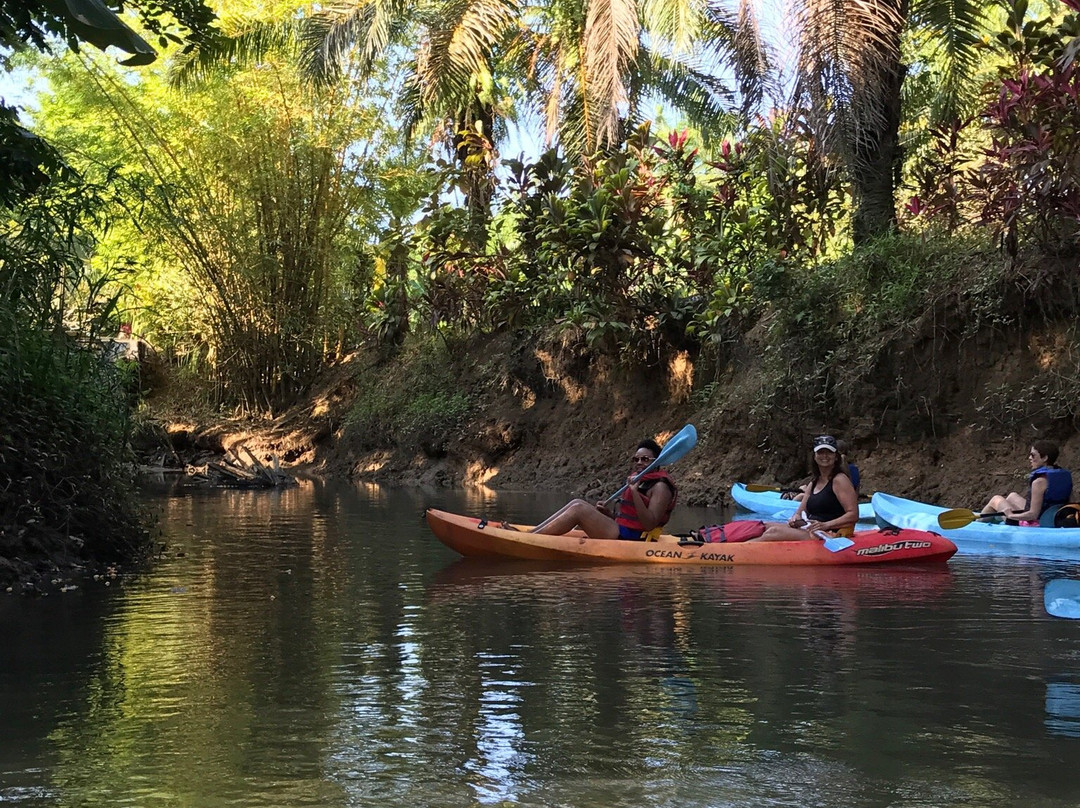 Pura Vida Tours & Transfers-哥斯达黎加安东尼奥国家公园必去景点