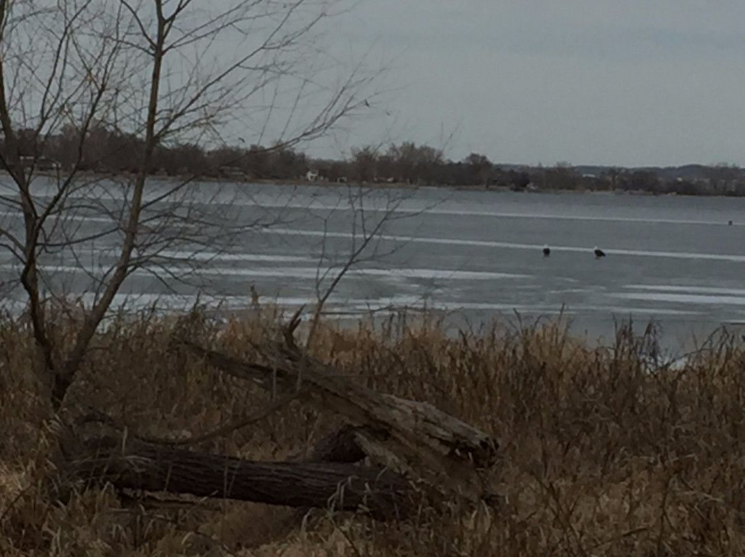 Lake Manawa Beach-康瑟尔布拉夫斯必去景点