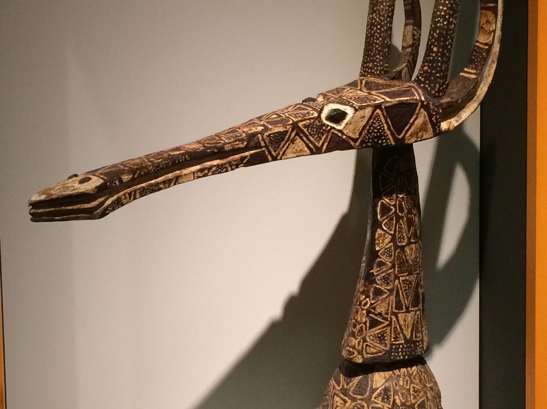 Museo Africano景点图片