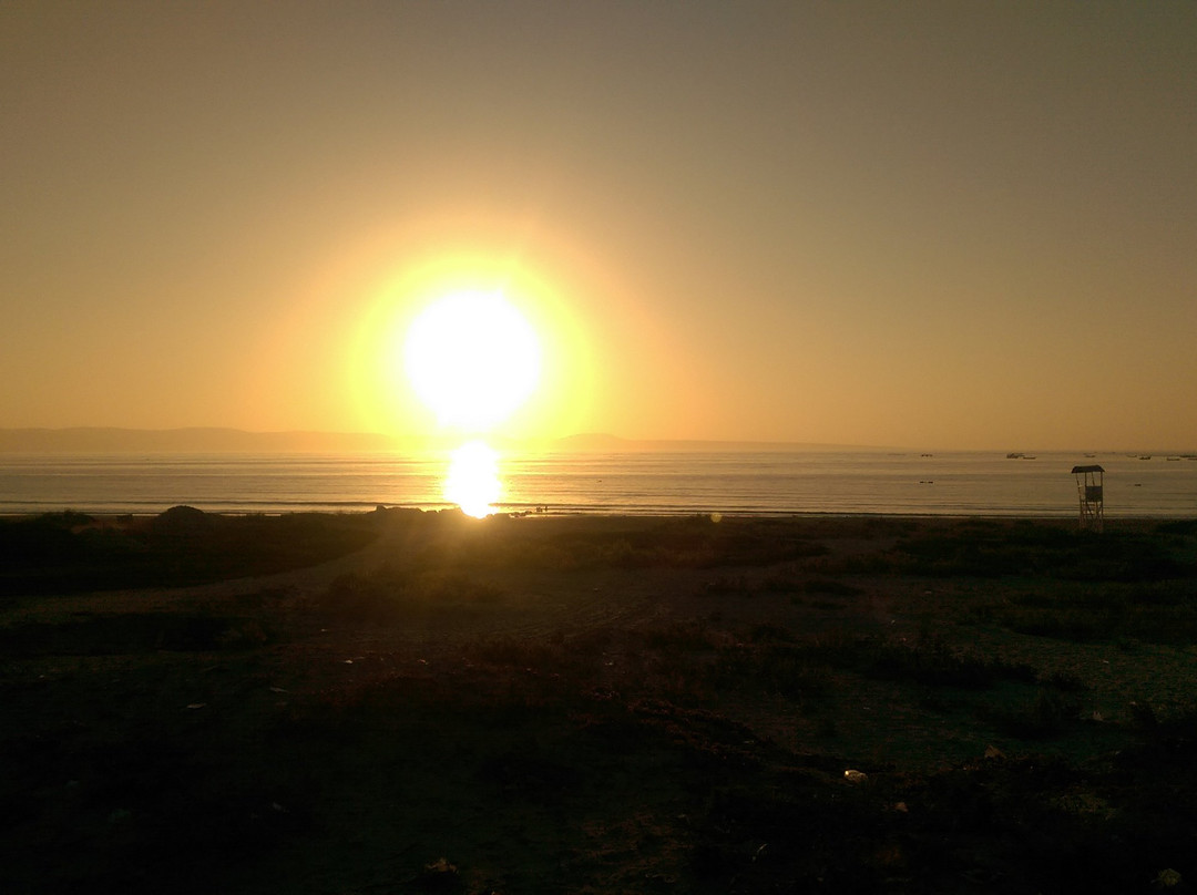 Playas Socos-Tongoy必去景点