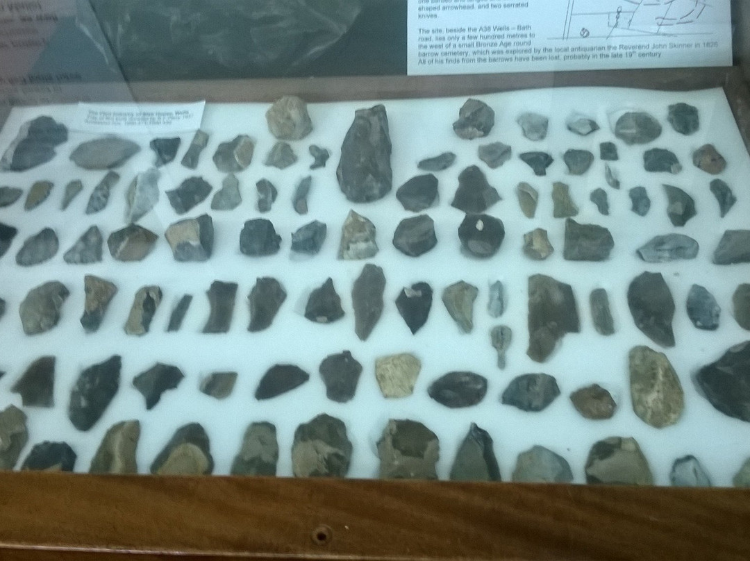 Wells and Mendip Museum-韦尔斯必去景点