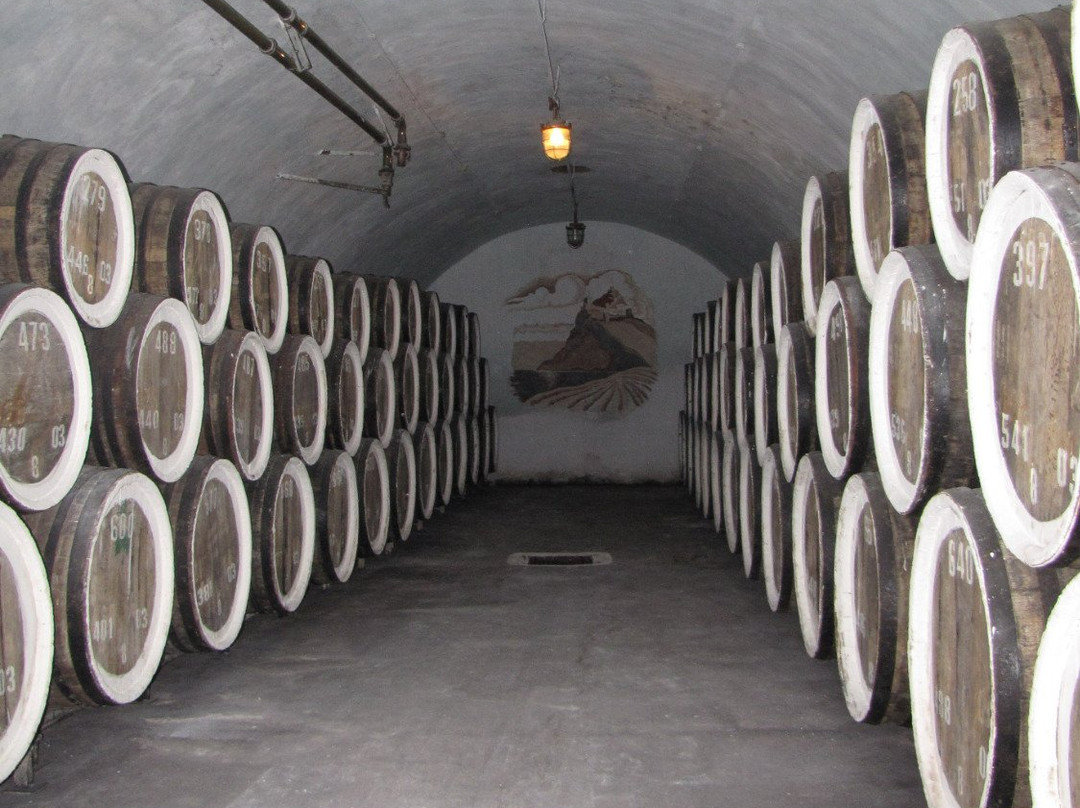 Tasting Room of Winery Sudak-苏达克必去景点