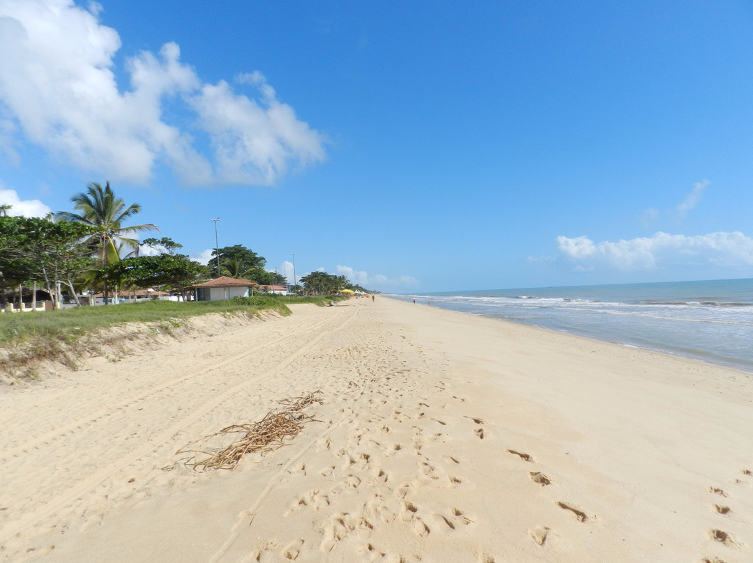 Alcobaca Beach景点图片