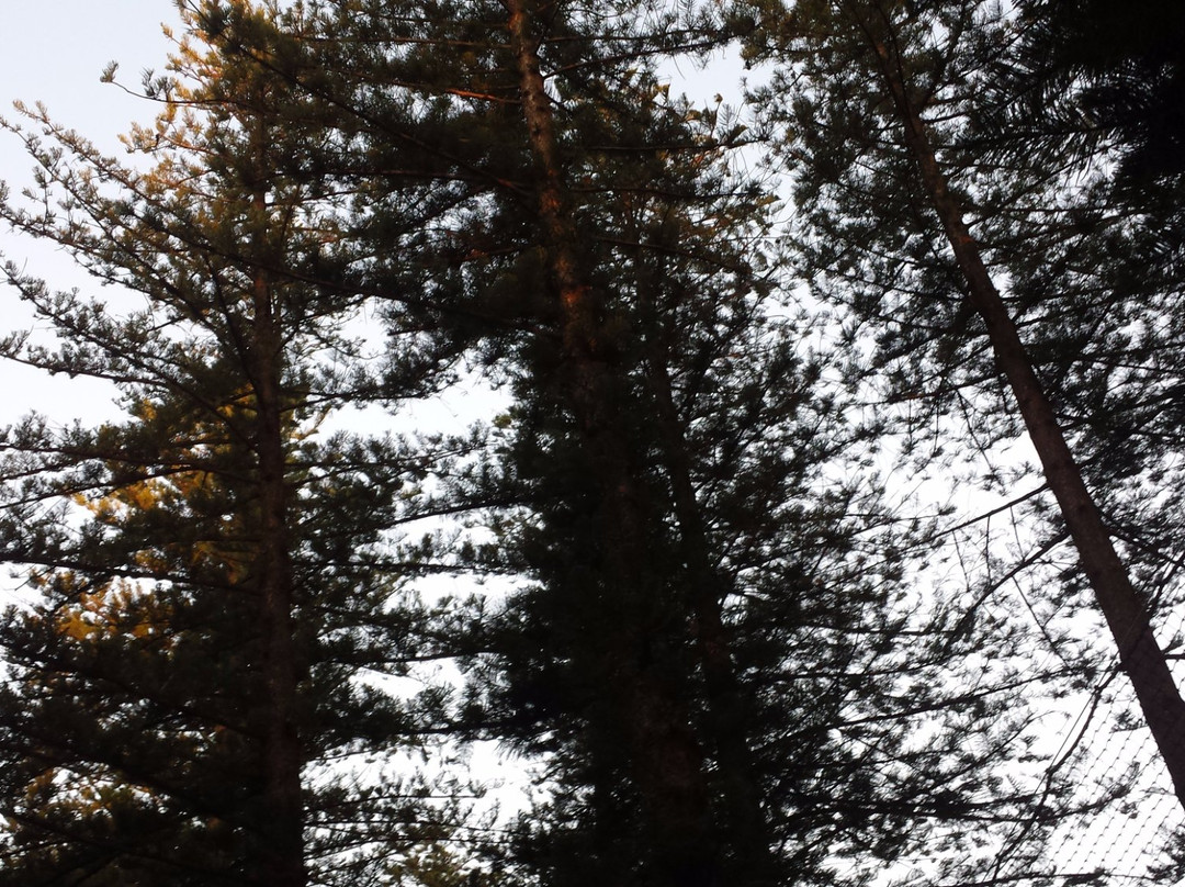 Crawley旅游景点-Somerville Auditorium