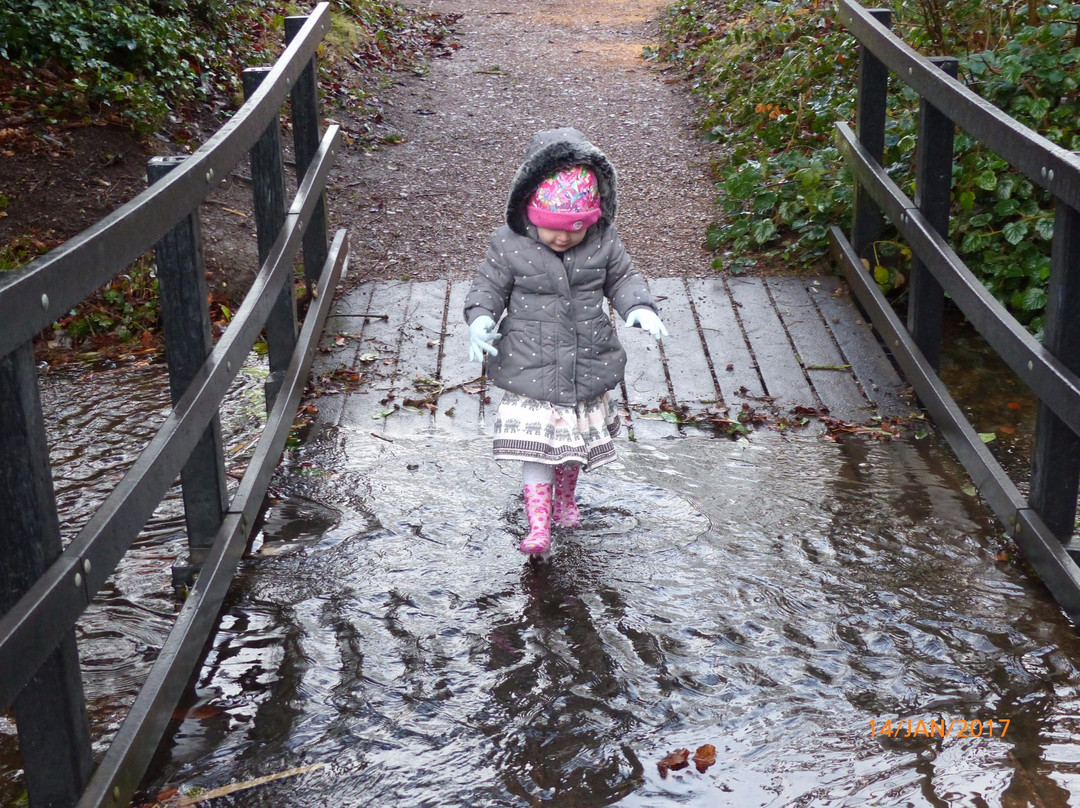 Staffordshire Wildlife Trust - The Wolseley Centre景点图片