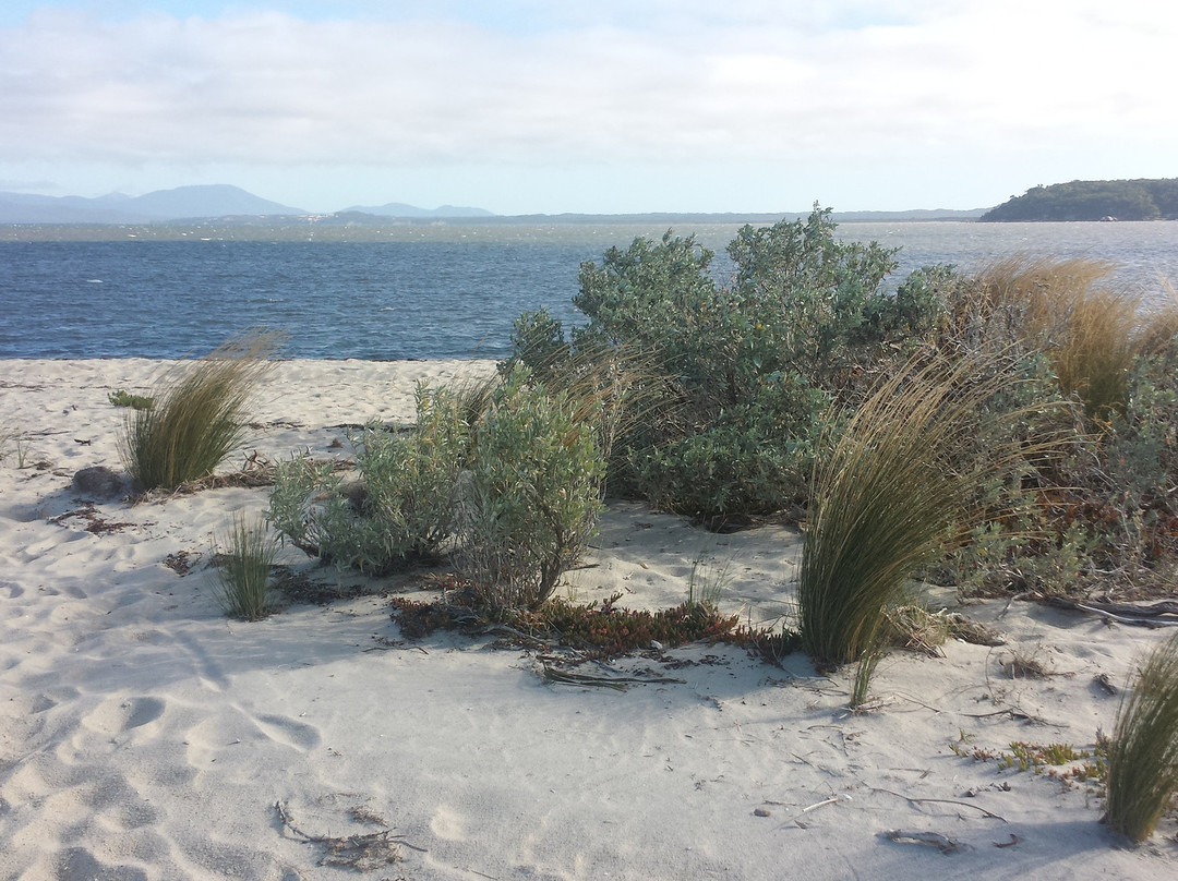 Yanakie/Duck Point Loop-Yanakie必去景点