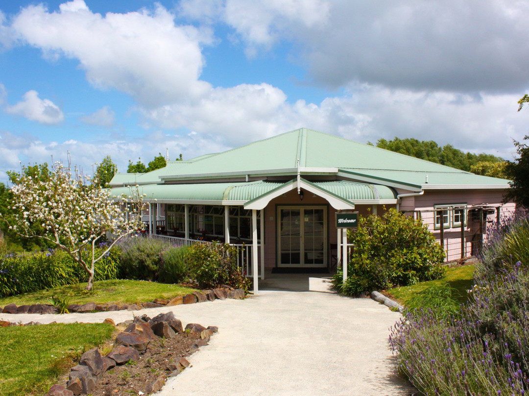 达格维尔酒店住宿-Matakohe House B&B Hotel