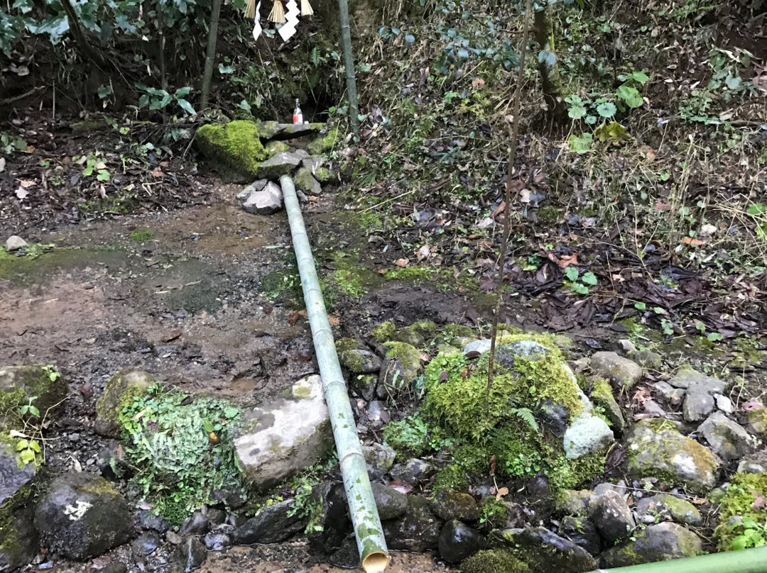 Tosui Shrine景点图片