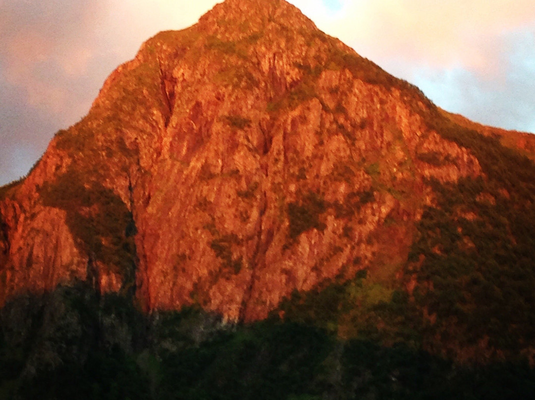 Malmangernuten (889 moh)景点图片
