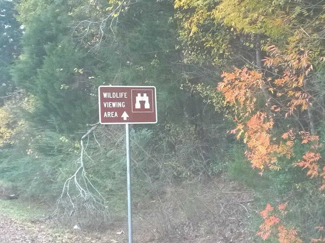 Gus Engeling Wildlife Management Area-Palestine必去景点