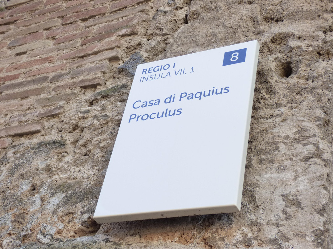House of Paquius Proculus-庞贝必去景点