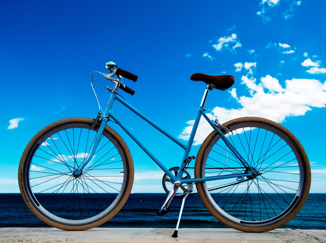 Swim and Ride Tours景点图片