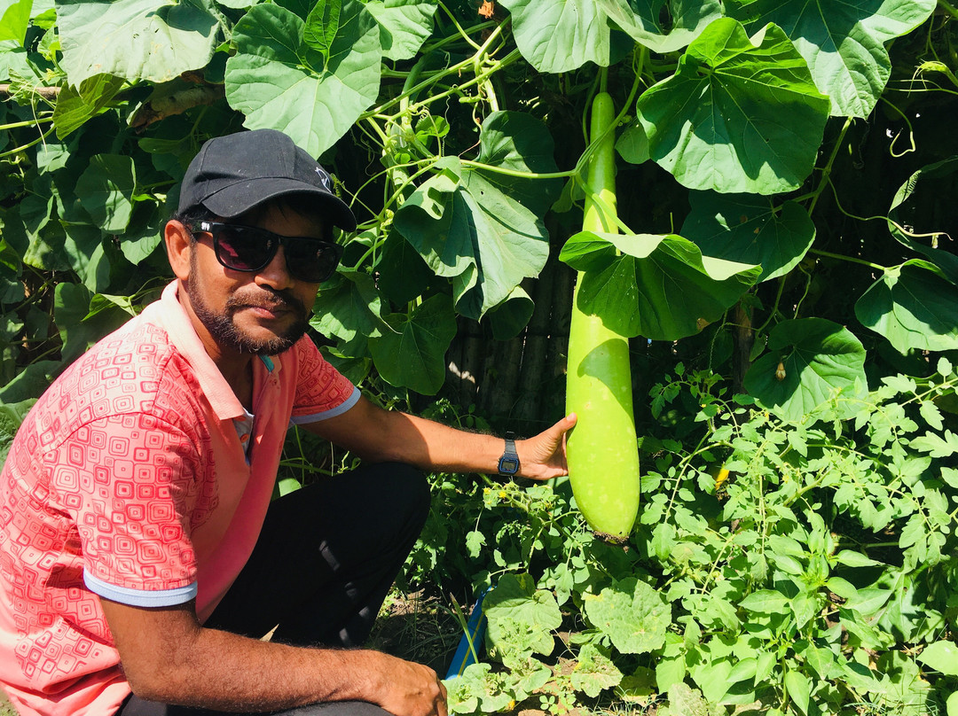 Northern Province餐馆和美食-Cafe Arokkiya