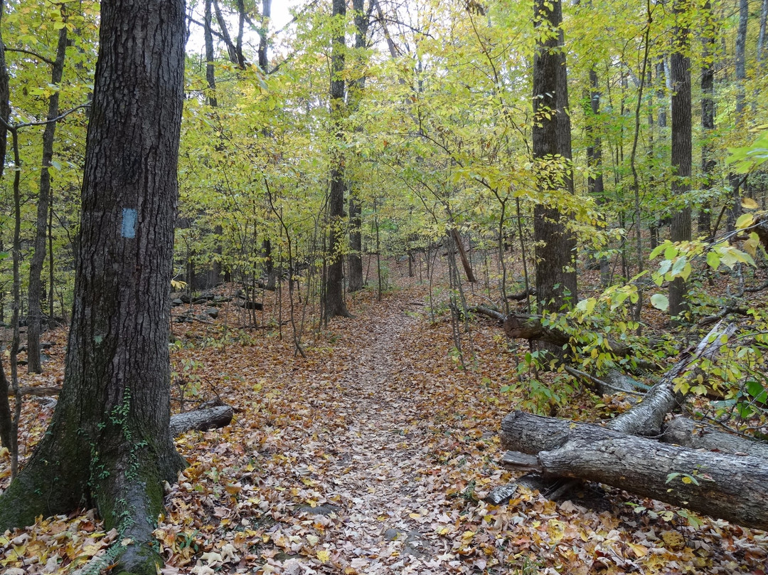 Macedonia Brook State Park-肯特必去景点