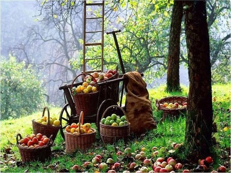 Greek Museum Zagoras-Zagora必去景点