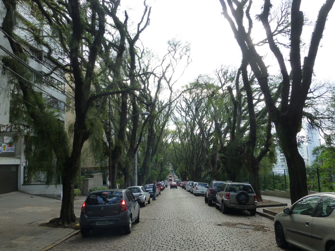 Rua Goncalo de Carvalho景点图片
