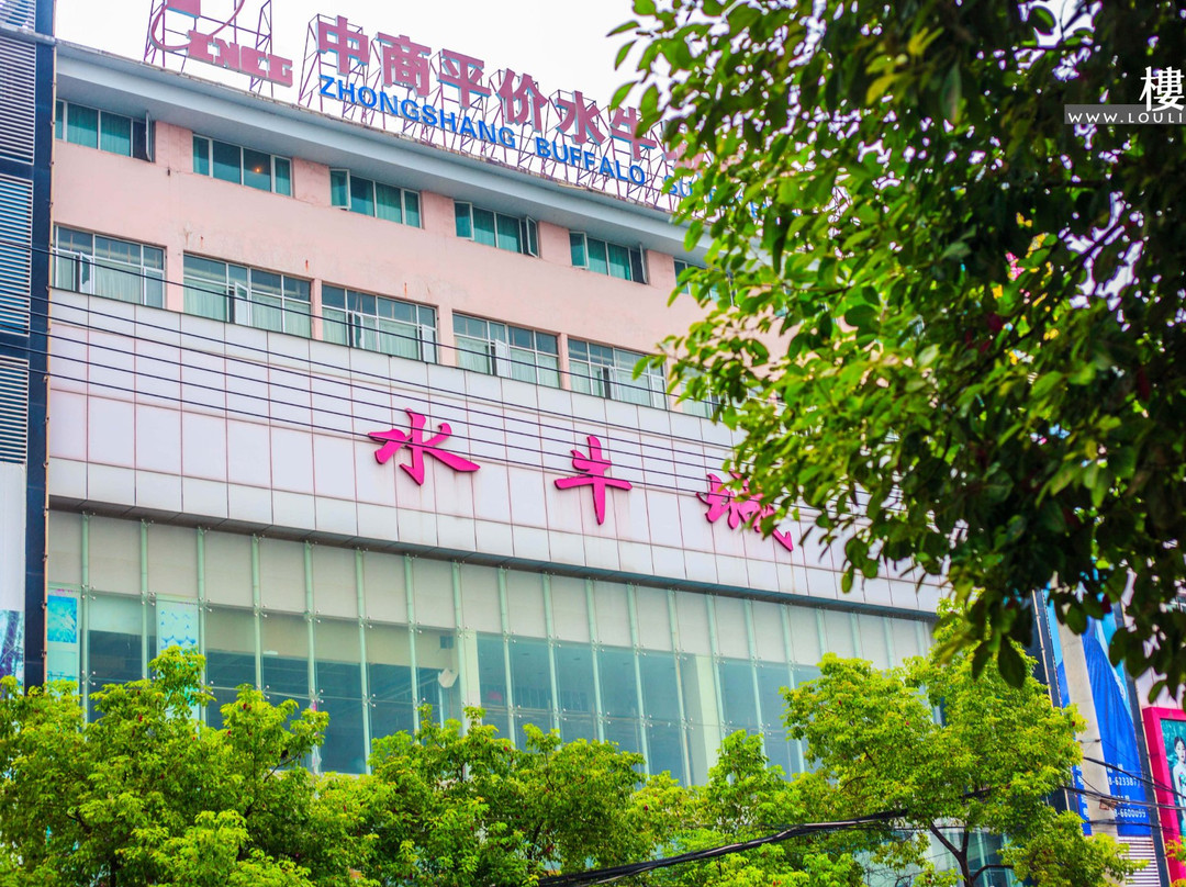 水牛城购物广场-潜江市必去景点