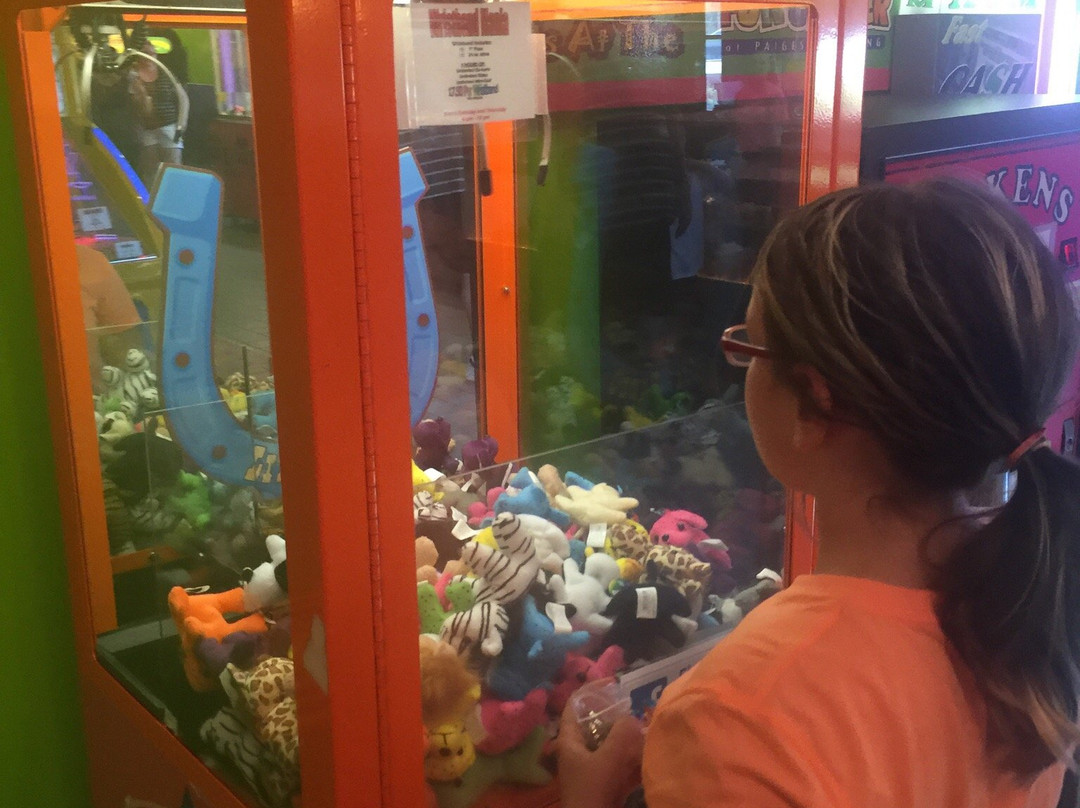 The Fun Center at Paige's Crossing景点图片