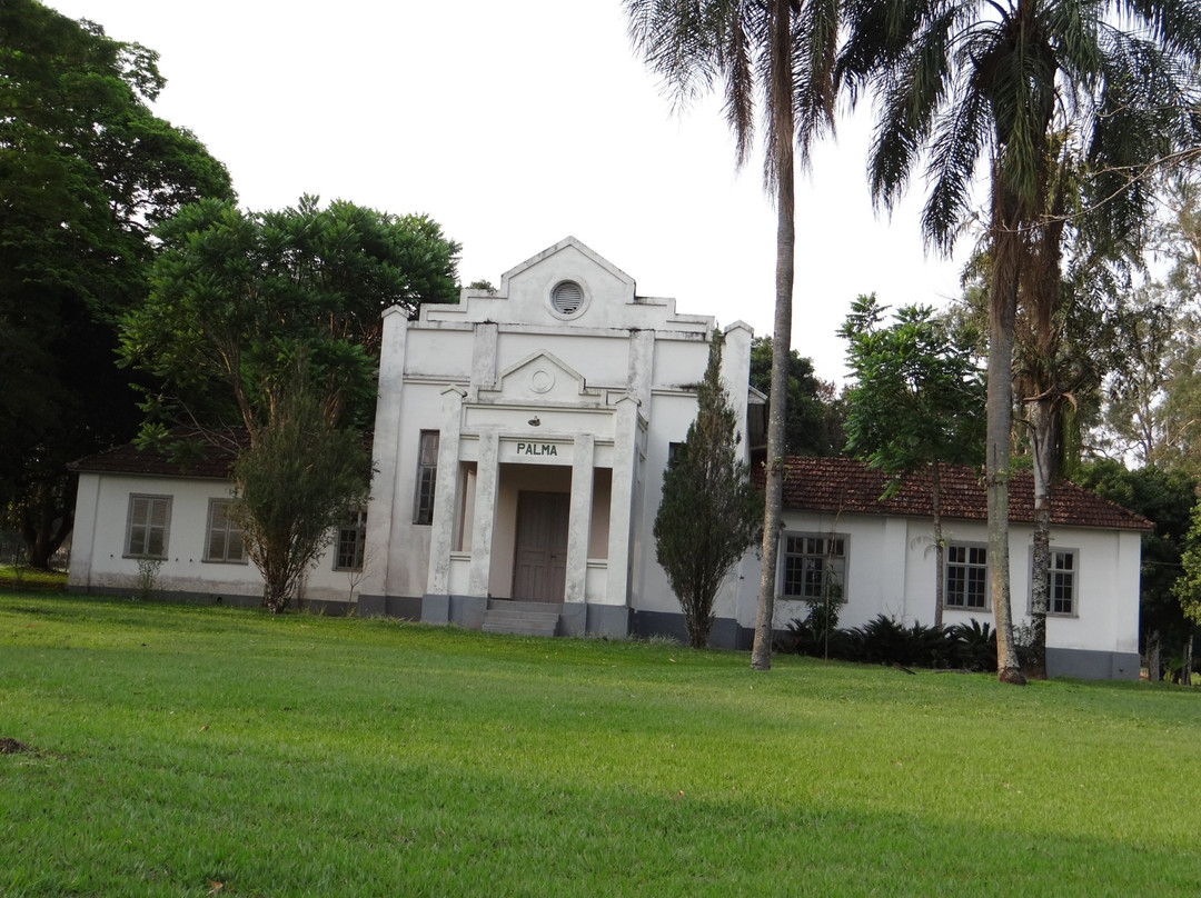 Fazenda Palma景点图片