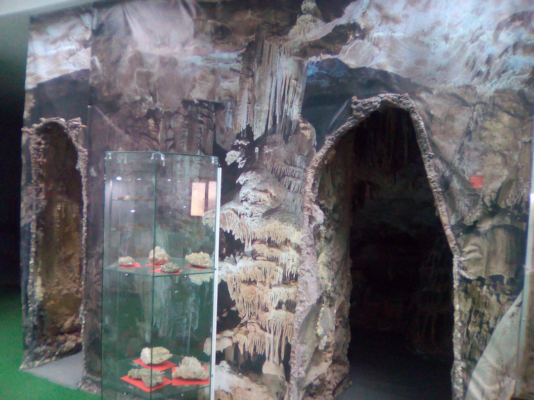Muzeul De Ştiinţe Naturale景点图片