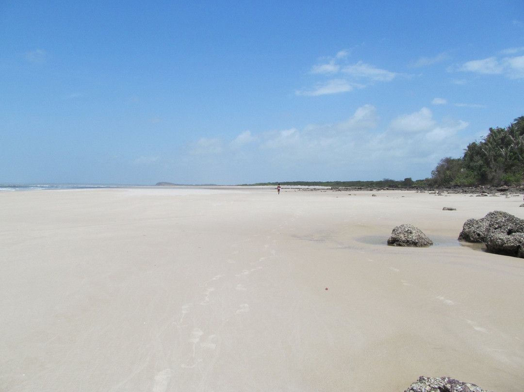 Itatinga Beach景点图片