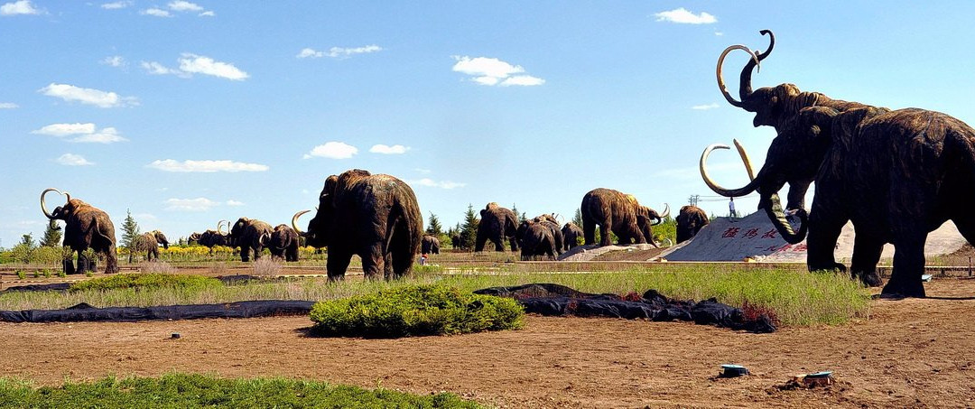 扎赉诺尔国家矿山公园-满洲里市必去景点
