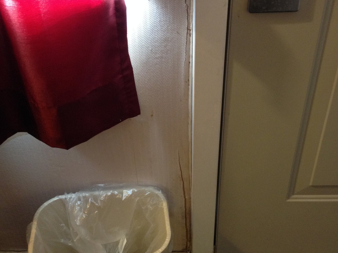 河流森林旅馆主图