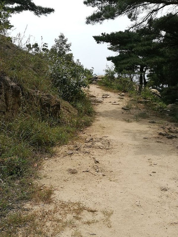 新泰莲花山-新泰市必去景点