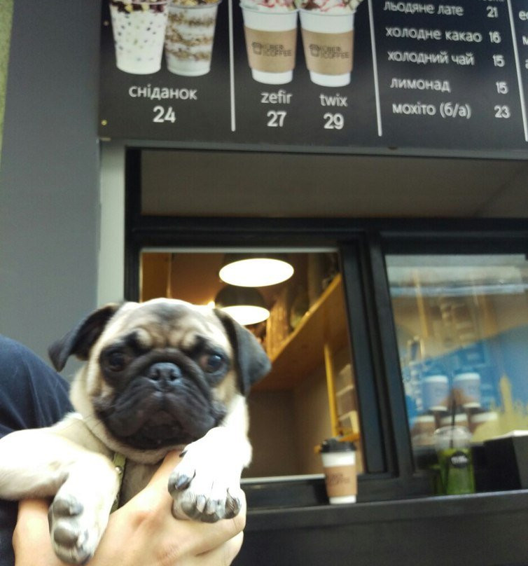 Uber Coffee