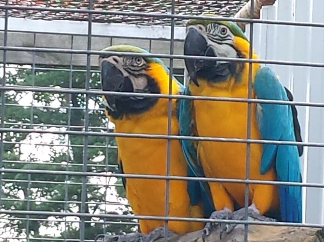 The Farmer's Inn-Sigel必去景点