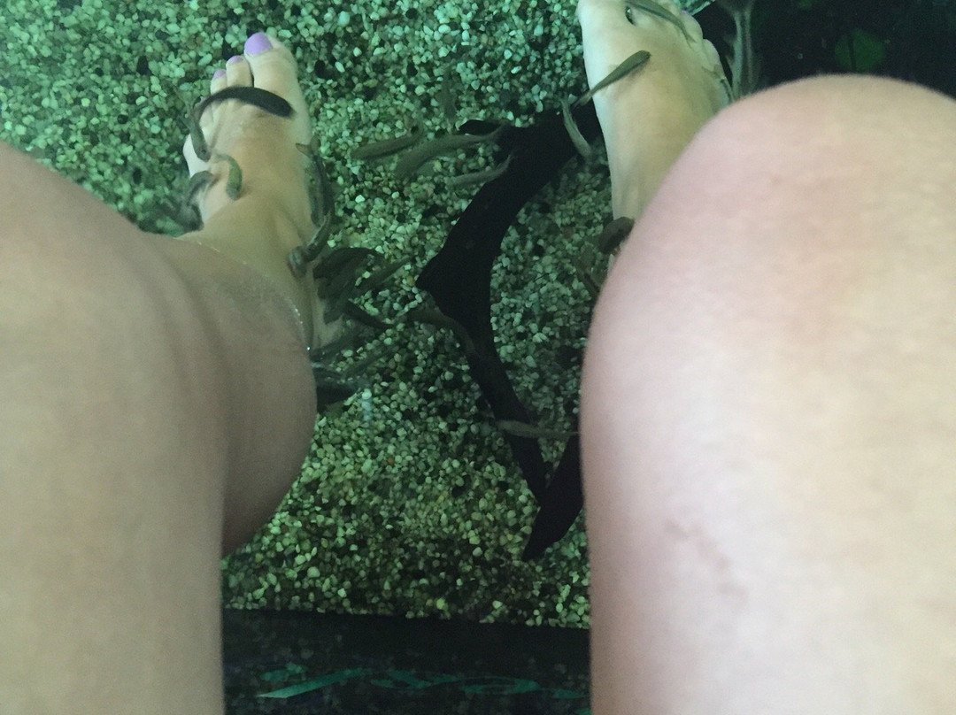 Fresh Feet Fish Spa景点图片