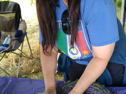 Mountainside Lavender Farm-希尔斯伯勒必去景点