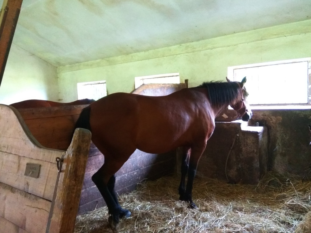 Horseback Riding Club of Slupenec-克鲁姆洛夫必去景点