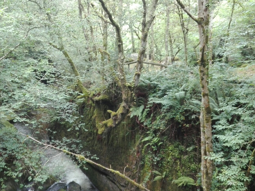 Area Recreativa La Pesanca-Riofabar必去景点