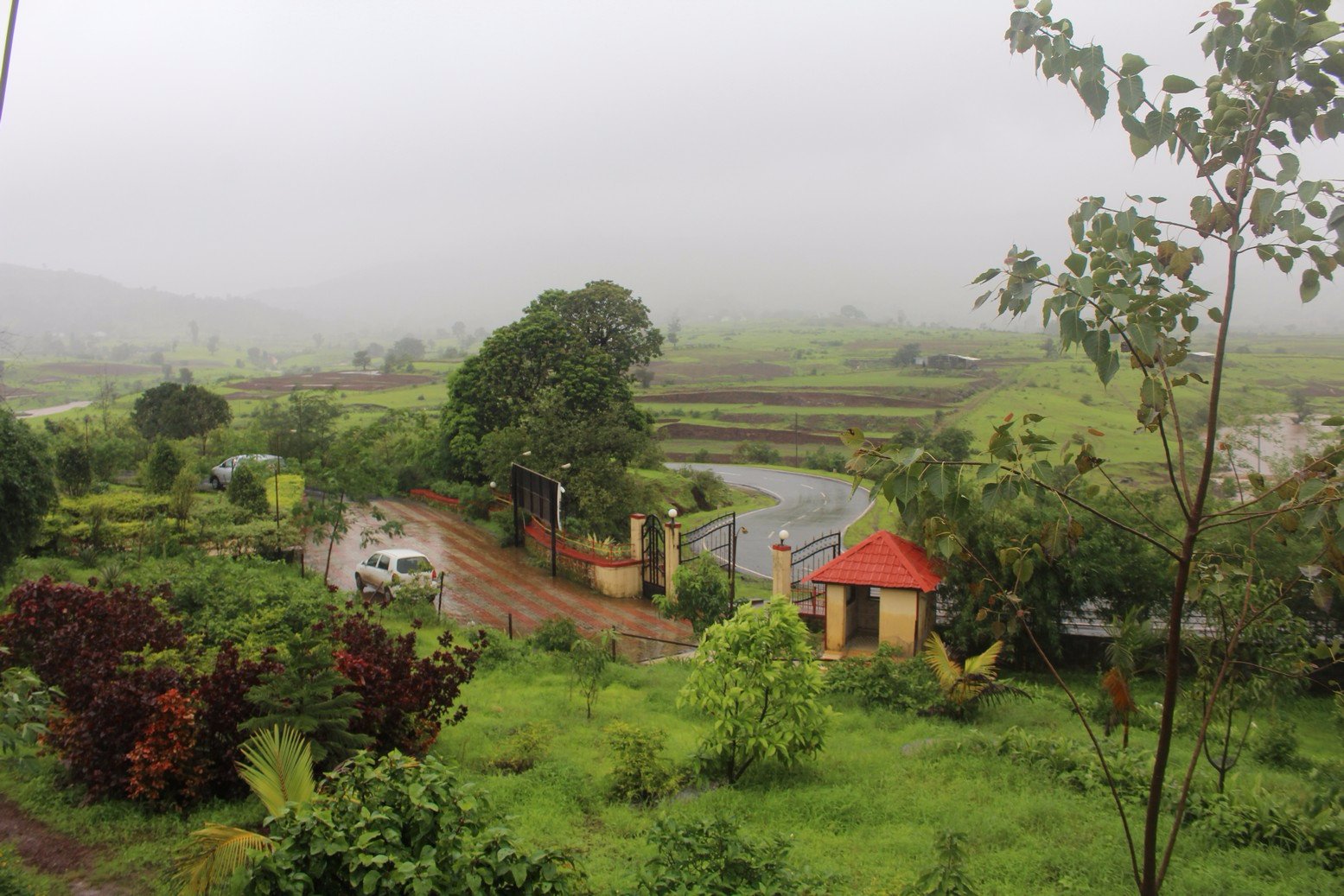 Hill View Resort-酒店景观