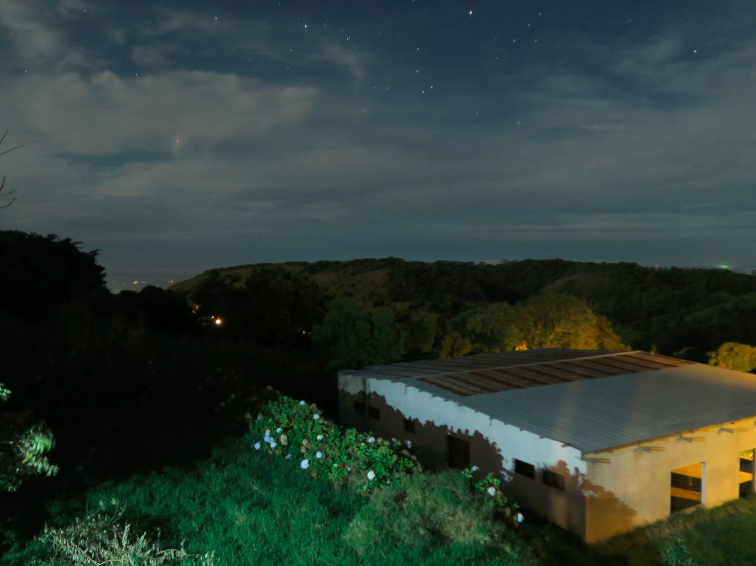 Bosque Verde Lodge主图