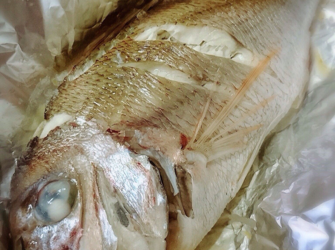 Nihon Kaisengyo center-柏崎市必去景点