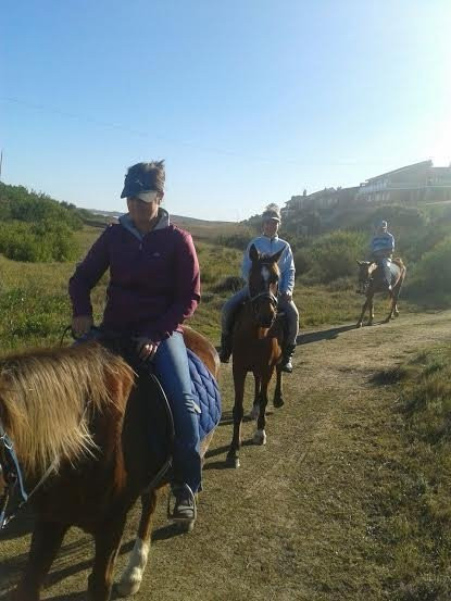 Mild2Wild Adventures-杰佛瑞湾必去景点