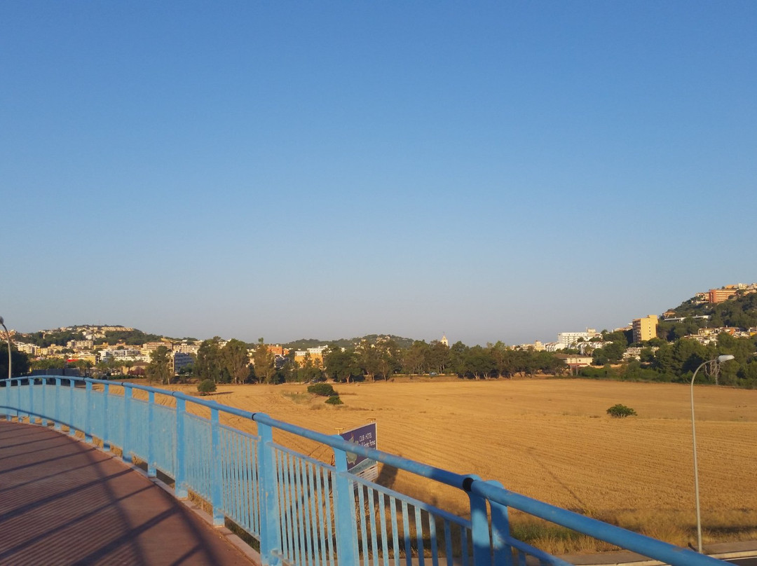 Molino de Santa Ponsa-圣庞沙必去景点
