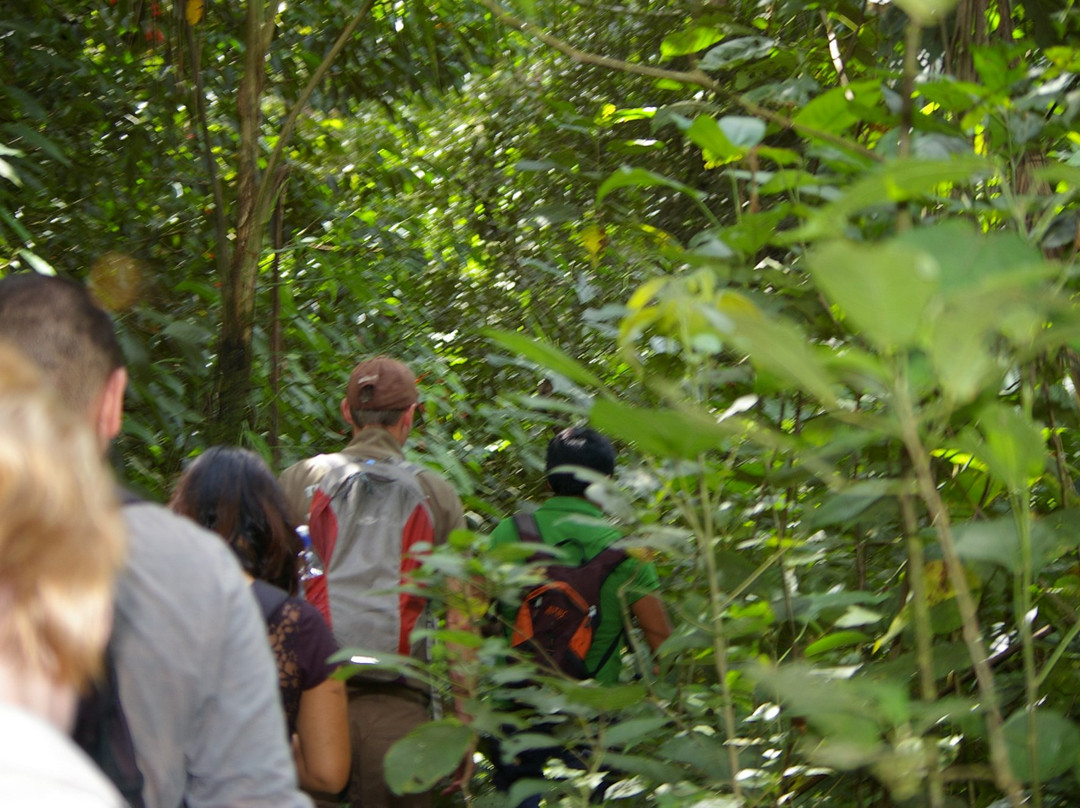 Carrasco National Park-科恰班巴必去景点