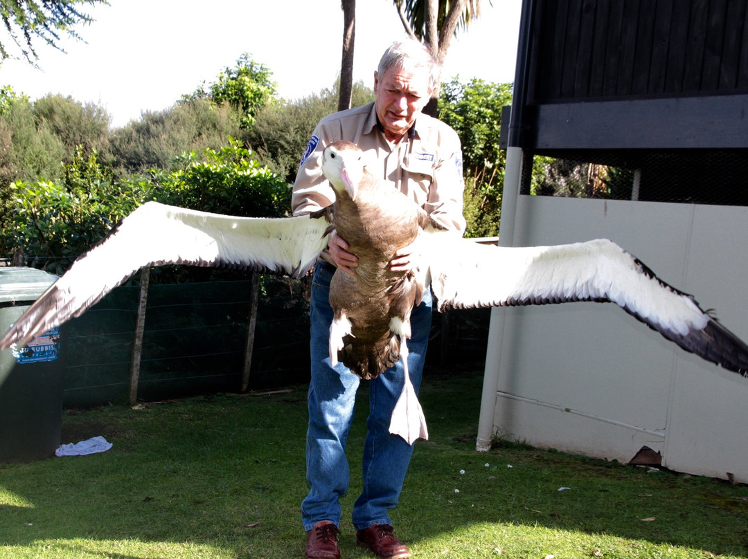 Whangarei Native Bird Recovery Centre景点图片