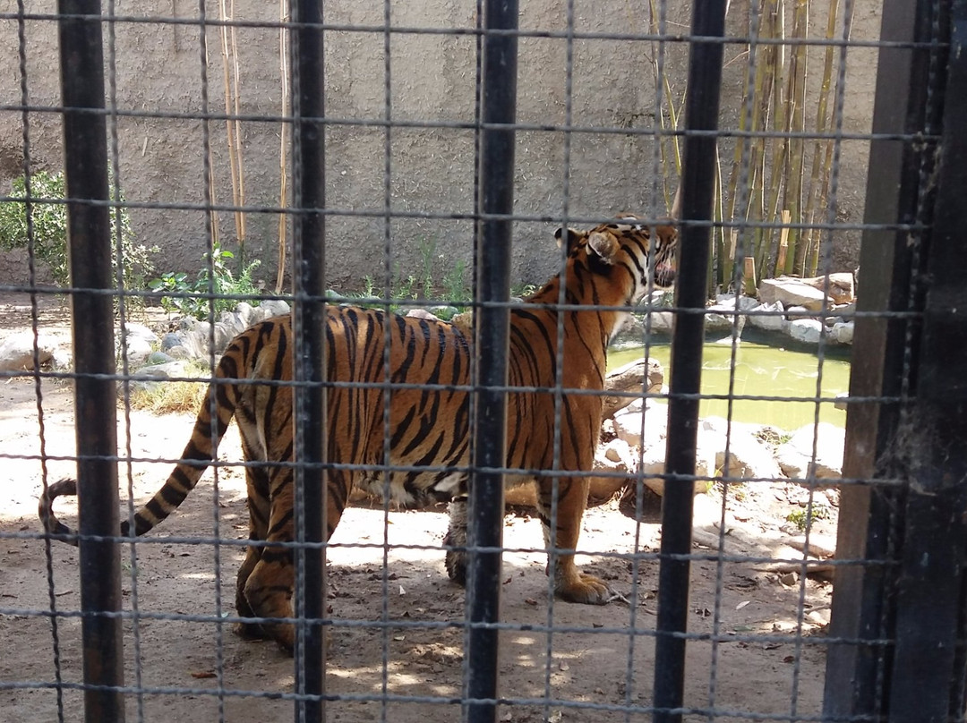 Parque Morelos-蒂华纳必去景点