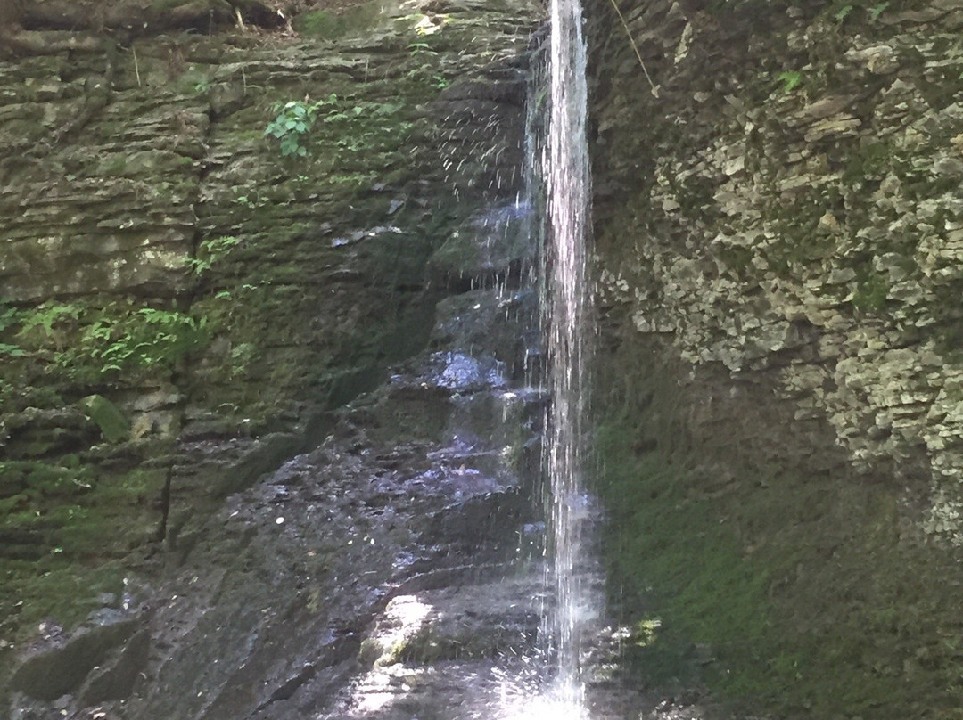 Bucktail Falls景点图片