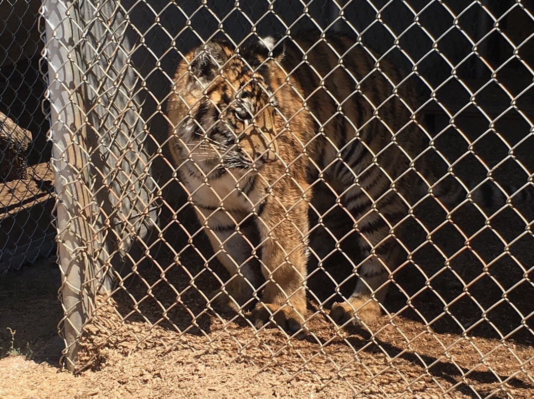 The Barry R. Kirshner Wildlife Foundation景点图片
