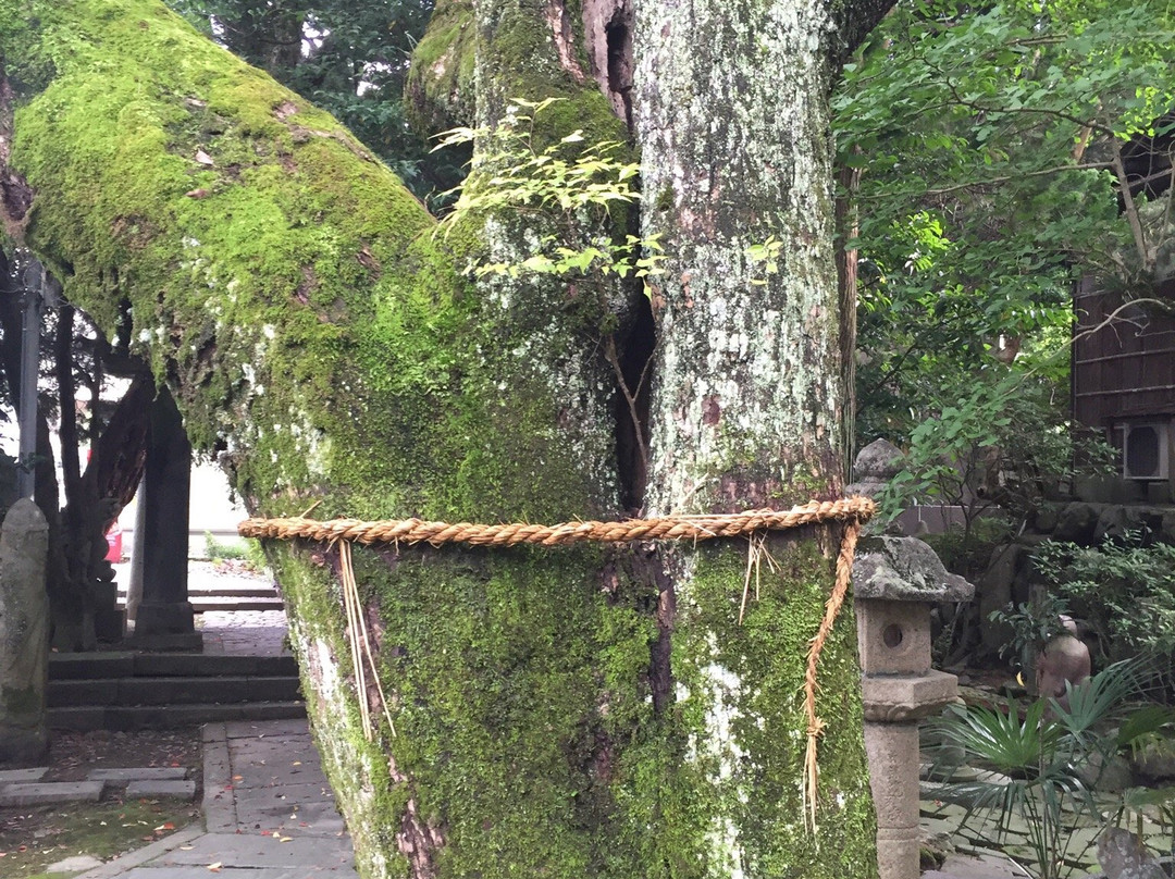 Sei Bunkazai Dekoboko Shindo-宇和岛市必去景点