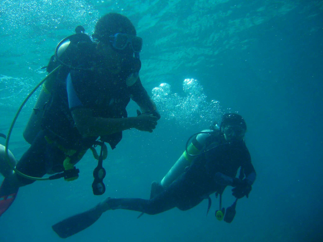 South Shore Divers-达沃必去景点