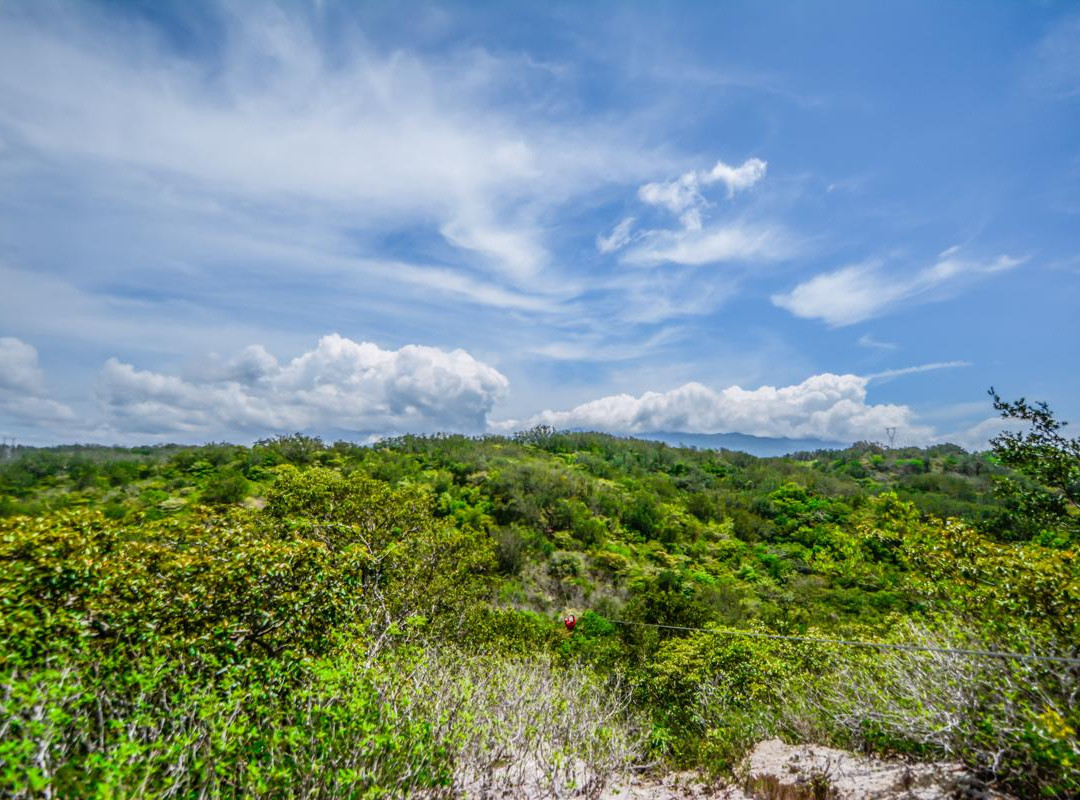 Vida Aventura Nature Park景点图片