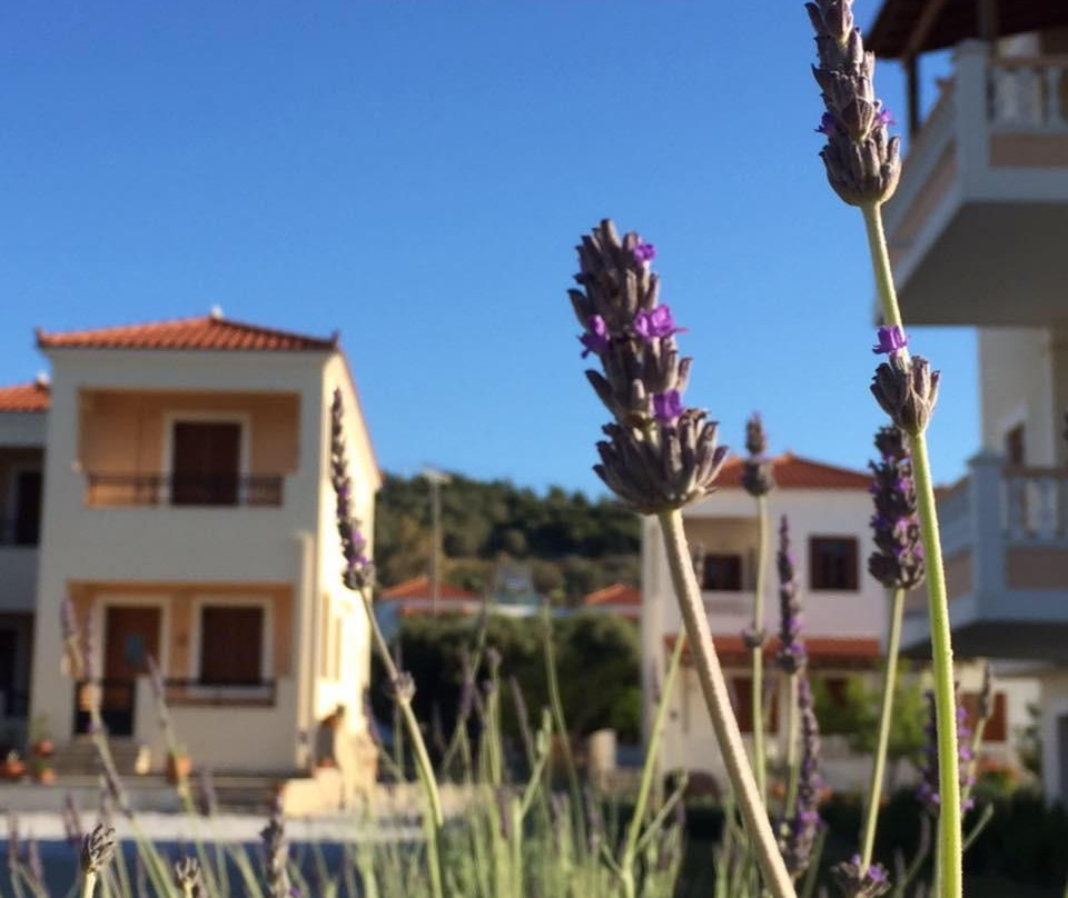 Platanos酒店住宿-Anemos Apartments By Villa Kokkoni