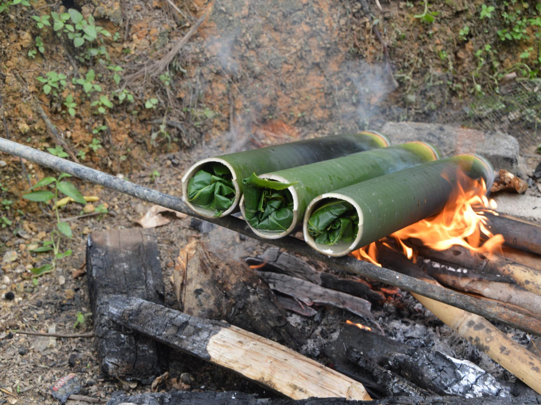 Backyard Tour-古晋必去景点